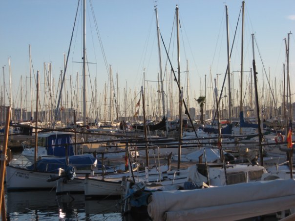 Palma-de-mallorca